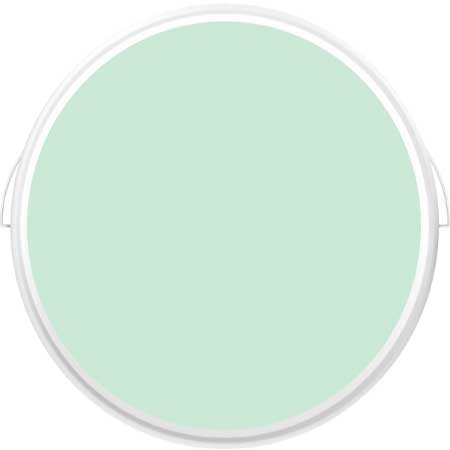 Görselde, nane yeşili duvar boyası rengiyle dolu plastik bir boya kutusu var.