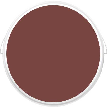 Sıcak İç Cephe Boya Renkleri 2021 yazısı için kullanılan görselde, boya kutusunun içinde rustik kırmızı duvar boyası var.