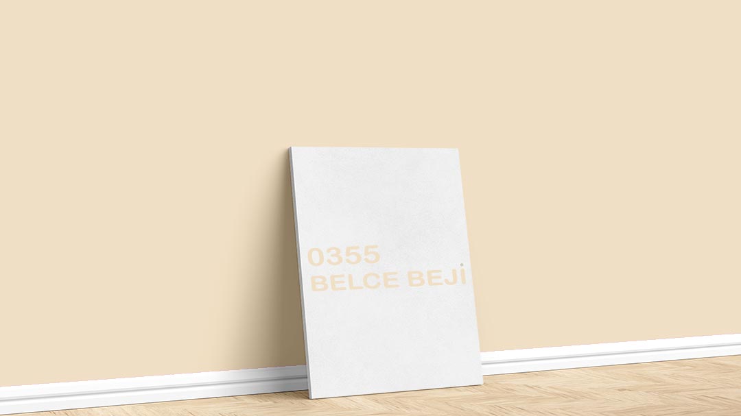 Dyo Bej-Kahve İç Cephe Renkleri – 0355 Belce Beji. Dyo bej-kahve duvar boyası için kullanılan görselde, 0355 belce beji kodlu iç cephe boyasıyla boyalı bir duvar var.