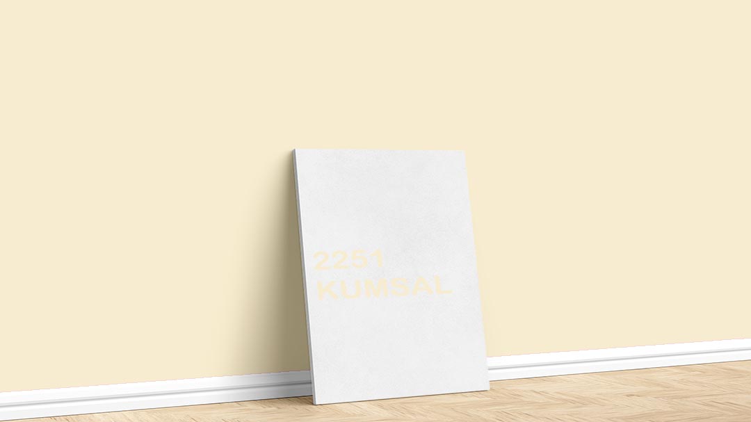 Dyo Bej/Kahve İç Cephe Renkleri – 2251 Kumsal. Dyo bej/kahve duvar boyası için kullanılan görselde, 2251 kumsal kodlu iç cephe boyasıyla boyalı bir duvar var.