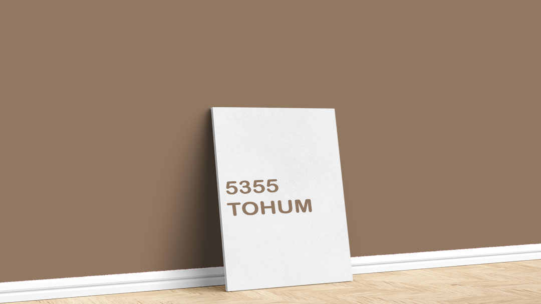 Dyo Bej/Kahve İç Cephe Renkleri – 5355 Tohum. Dyo bej/kahve duvar boyası için kullanılan görselde, 5355 tohum kodlu iç cephe boyasıyla boyalı bir duvar var.