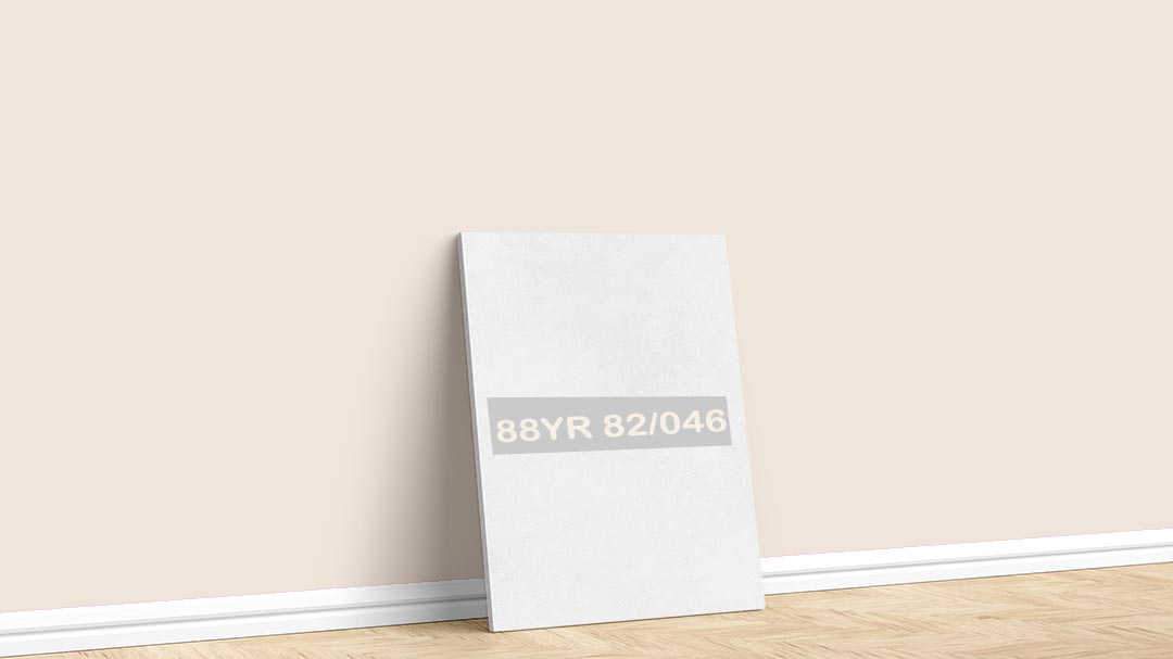 Marshall Beyaz 88YR 82/046 Duvar Boyası Rengi. Marshall Beyaz duvar boyası için kullanılan görselde, 88YR 82/046 kodlu iç cephe rengi ile boyalı bir duvar var.