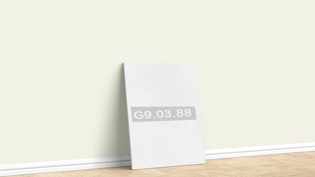 Marshall Beyaz G9.03.88 İç Cephe Rengi. Marshall Beyaz duvar boyası için kullanılan görselde, G9.03.88 kodlu iç cephe rengi ile boyalı bir duvar var.