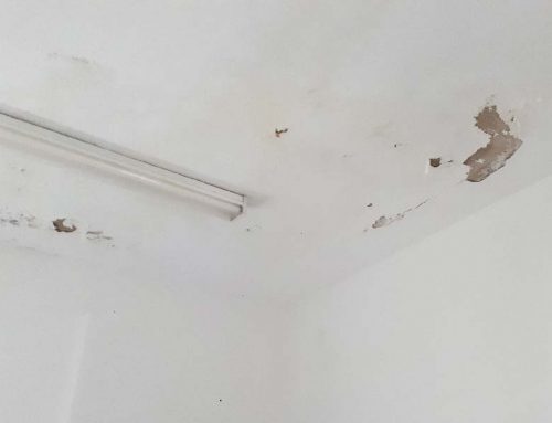 Rutubetli Duvar Tamiri Nasıl Yapılır?