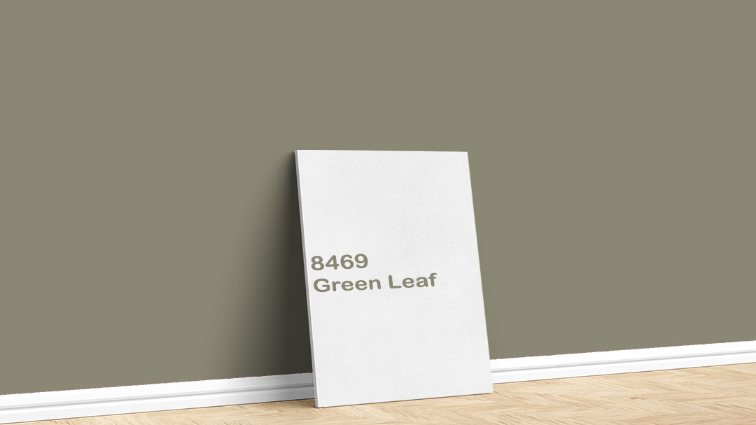 Jotun Koyu Yeşil Boya Rengi – 8469 Green Leaf. Jotun koyu yeşil boya rengi için kullanılan görselde, 8469 Green Leaf adlı iç cephe boyasıyla boyalı bir duvar var.