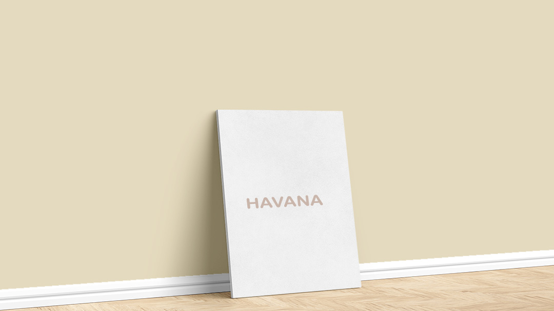 Filli Boya Bej Havana Boya Rengi. Filli Boya bej boya rengi için kullanılan görselde, Boyacıyım tarafından Havana isimli iç cephe duvar boyasıyla boyanmış bir duvar var.