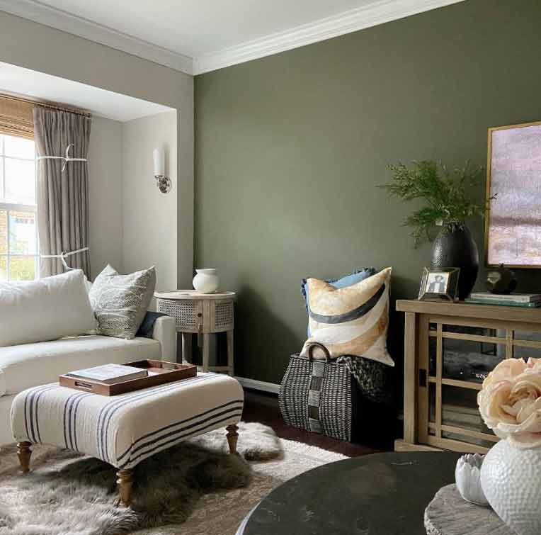 Yeşil Salon Boya Renkleri 2022.