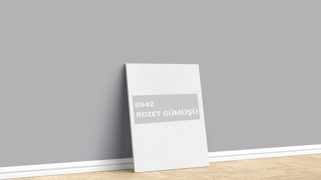 Dyo Gri 0542 Rozet Gümüşü İç Cephe Boya Rengi. Görselde, İstanbul boyacı ustası Boyacıyım tarafından Dyo Gri 0542 Rozet Gümüşü iç cephe boya rengine boyanmış bir duvar var.