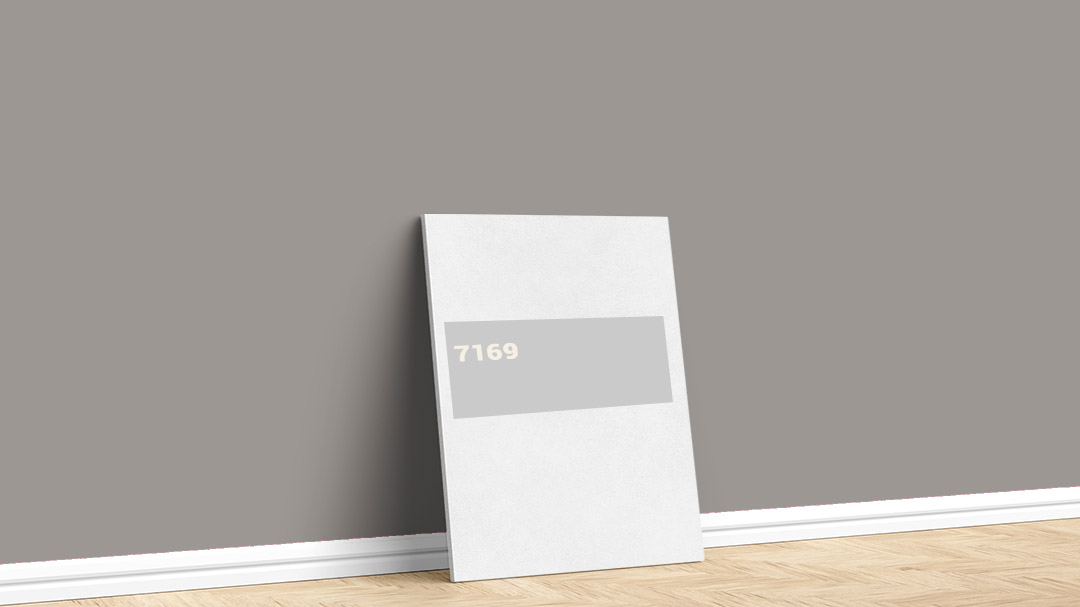 Dyo Gri 7169 İç Cephe Boya Rengi. Görselde, İstanbul boyacı ustası Boyacıyım tarafından Dyo gri 7169 rengi ile boyanmış bir duvar var.