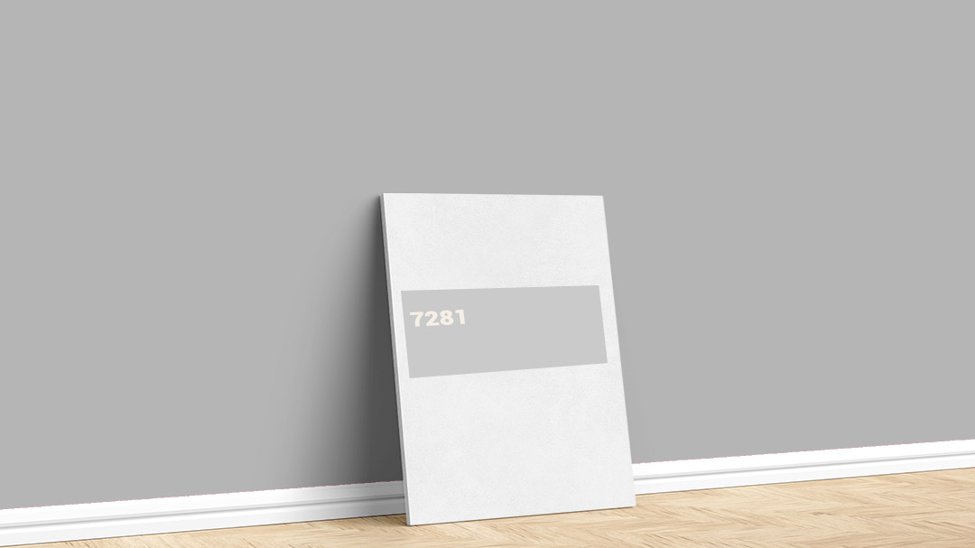 Dyo Gri 7281 İç Cephe Boya Rengi. Görselde, İstanbul boyacı ustası Boyacıyım tarafından Dyo gri 7281 rengi ile boyanmış bir duvar var.