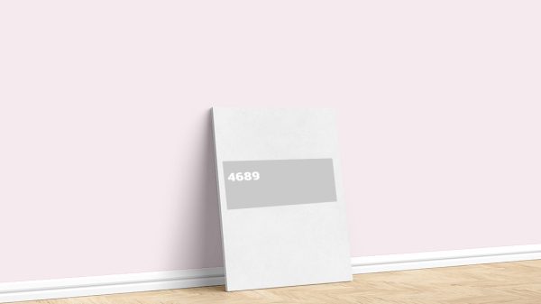 Dyo Açık Kırmızı Magenta 4689 Boya Rengi | Boyacıyım