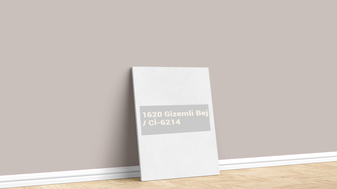 Polisan 1620 Gizemli Bej İç Cephe Boya Rengi. Görselde, İstanbul boyacı ustası Boyacıyım tarafından Polisan 1620 Gizemli Bej / Cİ-214 isimli iç cephe boya rengi ile boyanmış bir duvar var.