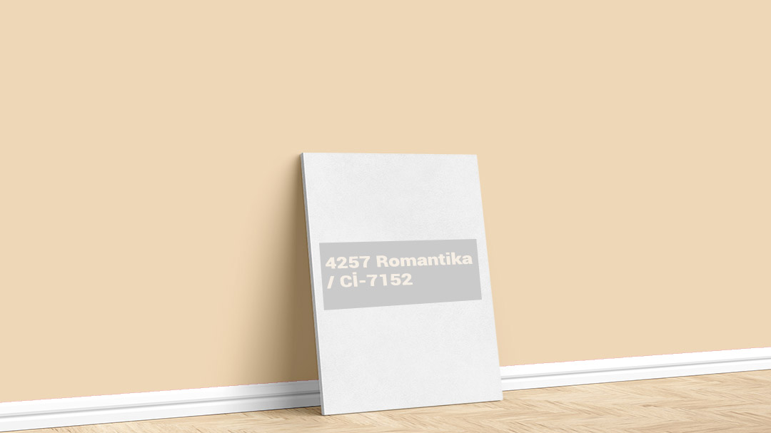 Görselde, İstanbul boyacı ustası Boyacıyım tarafından Polisan 4257 Romantika isimli iç cephe boya rengi ile boyanmış bir duvar var.