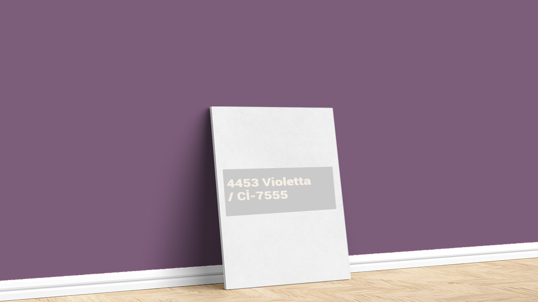 Polisan 4453 Violetta İç Cephe Boya Rengi. Görselde, İstanbul boyacı ustası Boyacıyım tarafından Polisan 4453 Violetta isimli iç cephe boya rengi ile boyanmış bir duvar var.