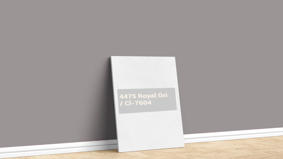 Polisan 4475 Royal Gri İç Cephe Boya Rengi. Görselde, İstanbul boyacı ustası Boyacıyım tarafından Polisan 4475 Royal Gri isimli iç cephe boya rengi ile boyanmış bir duvar var.