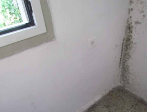 Evde Küf Neden Olur?