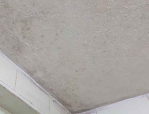 Tavanda Rutubet Neden Olur?