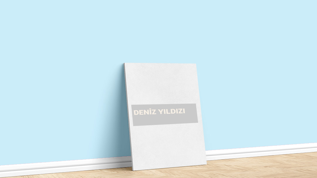Filli Boya Mavi Deniz Yıldızı Boya Rengi. Görselde, Filli Boya mavi Deniz Yıldızı isimli iç cephe rengiyle boyalı bir duvar var.