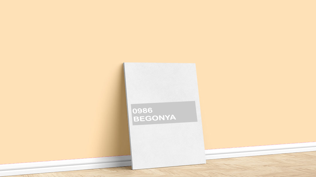 Dyo 0986 Begonya Boya Rengi. Görselde, DyoTuruncu / Bakır iç cephe renk kartelasında bulunan 0986 Begonya isimli açık boya rengi ile boyadığımız bir duvar var.