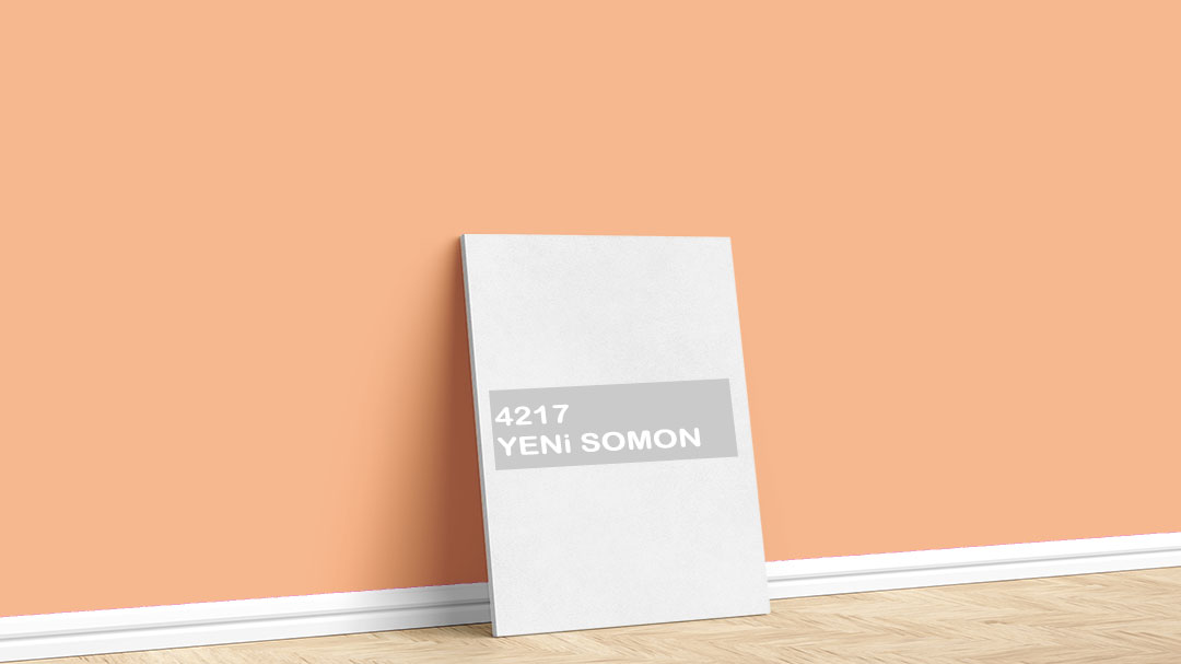 Görselde, Dyo Turuncu / Bakır iç cephe renk kartelasında bulunan 4217 Yeni Somon isimli boya tonuyla boyadığımız bir duvar var.