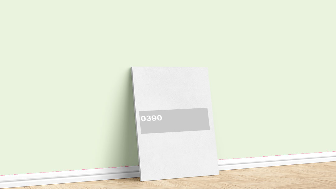 Görselde, Dyo Yeşil / Haki iç cephe renk kartelasında bulunan 0390 isimli boya tonuyla boyadığımız bir duvar var.