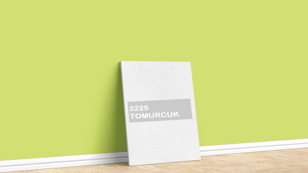 Görselde, Dyo Yeşil / Haki iç cephe renk kartelasında bulunan 3225 Tomurcuk isimli boya tonuyla boyadığımız bir duvar var.
