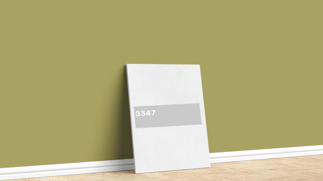 Görselde, Dyo Yeşil / Haki iç cephe renk kartelasında bulunan 3347 isimli boya tonuyla boyadığımız bir duvar var.