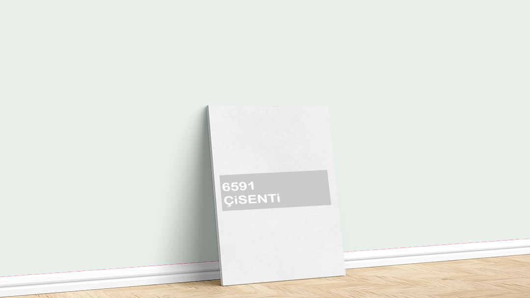 Görselde, Dyo Yeşil / Haki iç cephe renk kartelasında bulunan 6591 Çisenti isimli boya tonuyla boyadığımız bir duvar var.