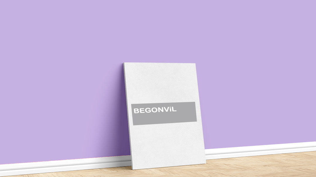 Filli Boya Begonvil İç Cephe Boya Rengi. Görselde, Filli Boya mor iç cephe renk kartelasında bulunan Begonvil isimli boya rengi ile boyadığımız bir duvar var.