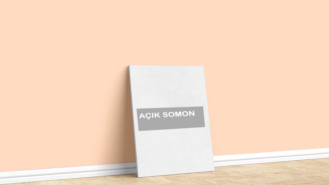 Görselde, Filli Boya turuncu iç cephe renk kartelasında bulunan Açık Somon isimli boya rengi ile boyadığımız bir duvar var.