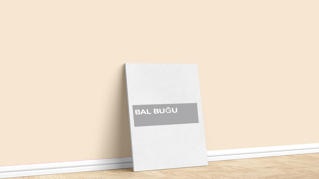 Görselde, Filli Boya turuncu iç cephe renk kartelasında bulunan Bal Buğu isimli boya rengi ile boyadığımız bir duvar var.