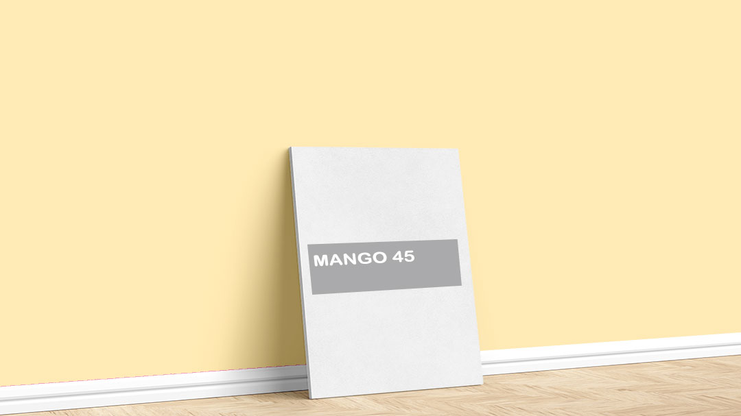 Görselde, Filli Boya turuncu iç cephe renk kartelasında bulunan Mango 45 isimli boya rengi ile boyadığımız bir duvar var.