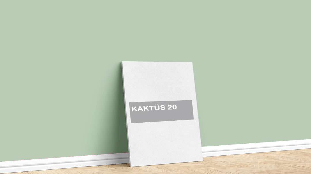 Görselde, Filli Boya yeşil iç cephe renk kartelasında bulunan Kaktüs 20 isimli boya ile boyadığımız bir duvar var.