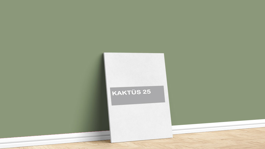 Görselde, Filli Boya yeşil iç cephe renk kartelasında bulunan Kaktüs 25 isimli boya ile boyadığımız bir duvar var.