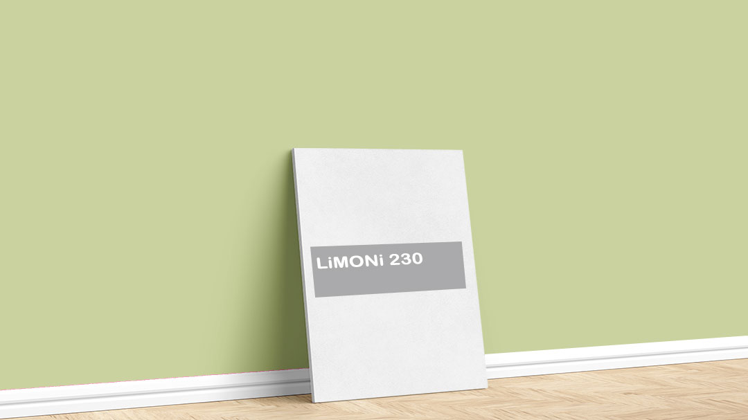 Görselde, Filli Boya yeşil iç cephe renk kartelasında bulunan Limoni 230 isimli koyu yeşil boya tonu ile boyadığımız bir duvar var.