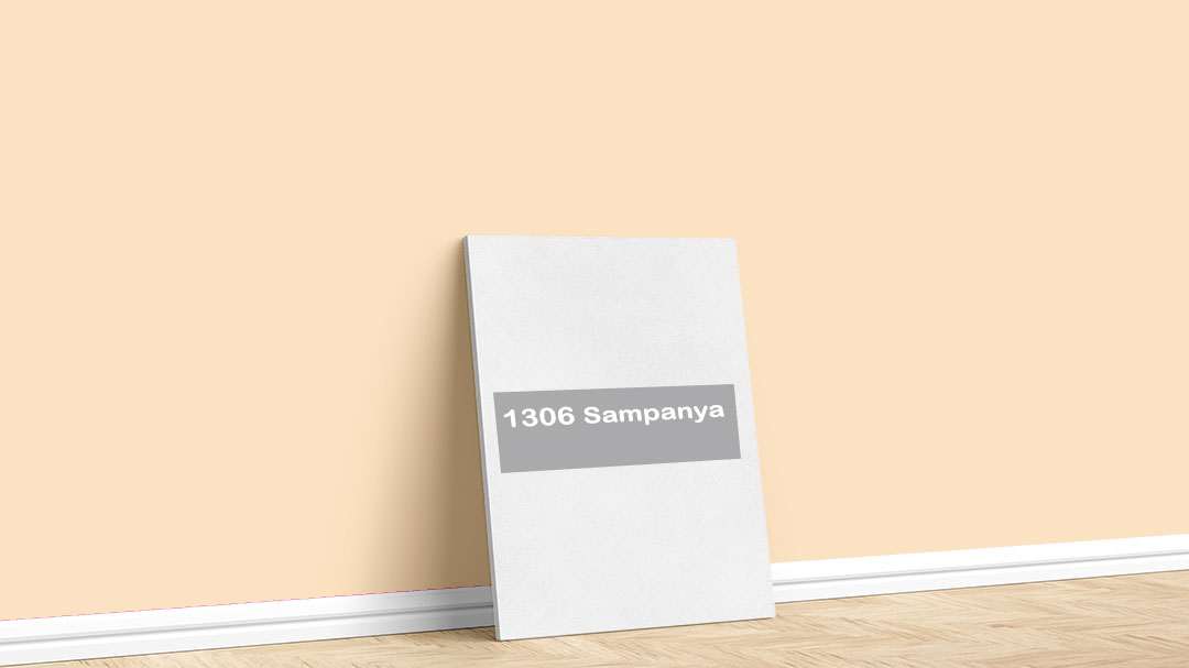 Görselde, Permolit su bazlı iç cephe renk kartelasında bulunan 1306 Sampanya isimli boya ile boyadığımız bir duvar var.