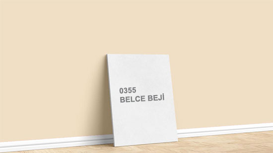 Görselde, Dyo bej kahve boya renkleri kartelasında bulunan 0355 Belce Beji tonuyla boyanmış bir duvar var.