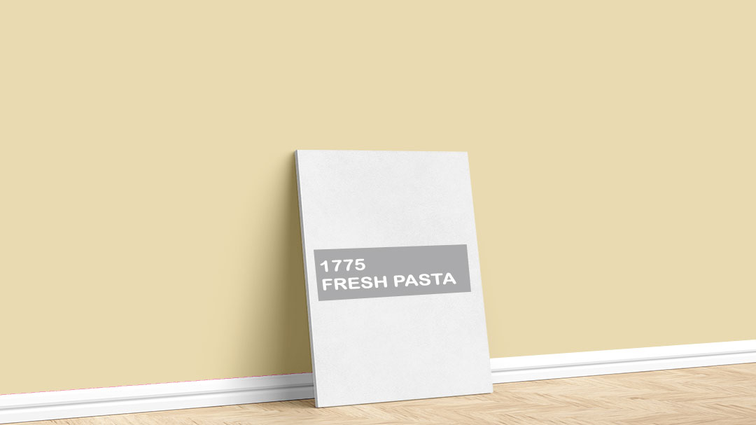 Jotun 1775 Fresh Pasta Boya Rengi. Görselde, Jotun markasına ait 2024 Tuval Renk Koleksiyonu içinde bulunan Jotun 1775 Fresh Pasta iç cephe boya rengi ile boyanmış bir duvar var.