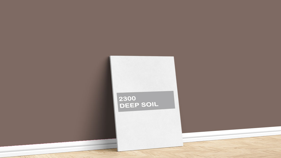 Jotun 2300 Deep Soil Boya Rengi. Görselde, Jotun markasına ait 2024 Renk Koleksiyonu içinde bulunan Jotun 2300 Deep Soil iç cephe boya rengi ile boyanmış bir duvar var.