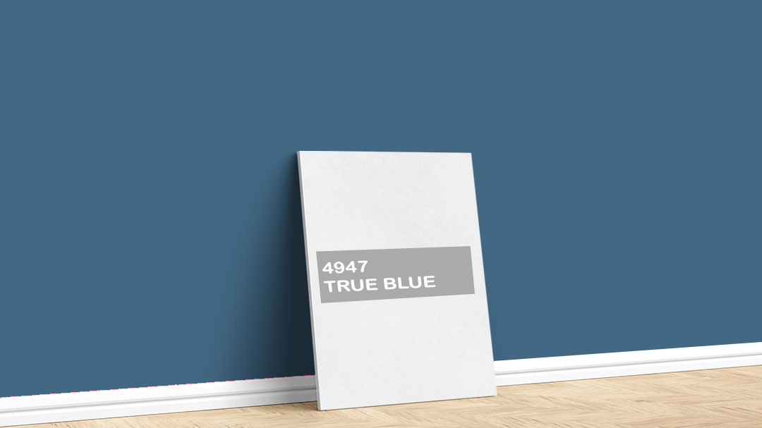 Jotun 4947 True Blue Boya Rengi. Görselde, Jotun markasına ait 2024 Tuval Renk Koleksiyonu içinde bulunan Jotun 4947 True Blue iç cephe boya rengi ile boyanmış bir duvar var.