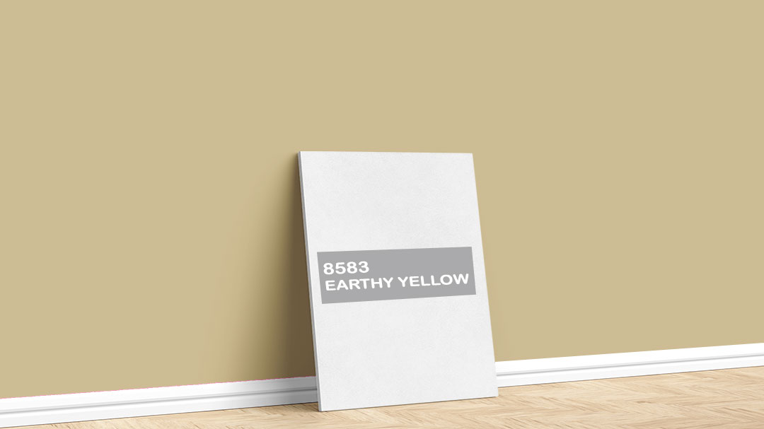 Jotun 8583 Earthy Yellow Boya Rengi. Görselde, Jotun markasına ait 2024 Renk Koleksiyonu içinde bulunan Jotun 8583 Earthy Yellow iç cephe boya rengi ile boyanmış bir duvar var.