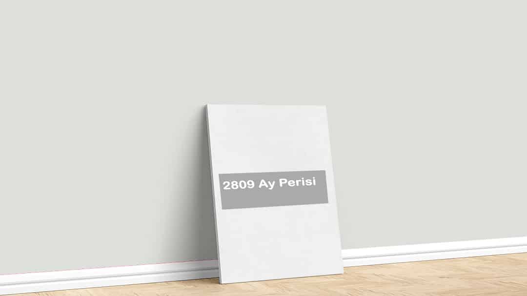 Görselde, Permolit su bazlı iç cephe renk kartelasında bulunan 2809 Ay Perisi isimli boya ile boyadığımız bir duvar var.