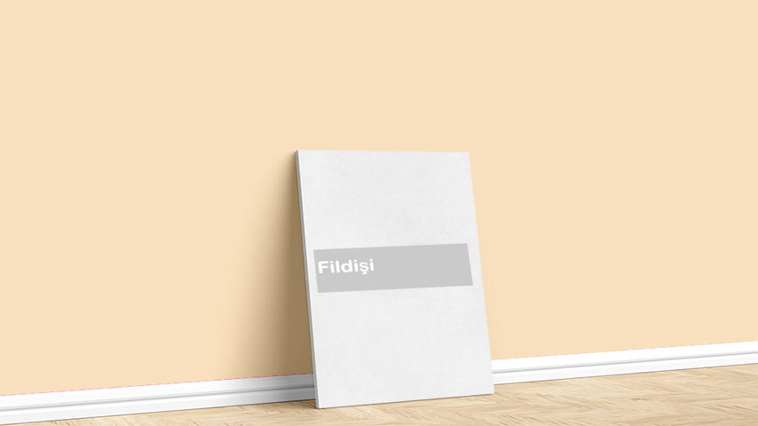 Marshall Fildişi Boya Rengi. Görselde, Soft Altın Renkleri paleti içinde bulunan Marshall Fildişi isimli iç cephe boya rengi ile boyanmış bir duvar var.