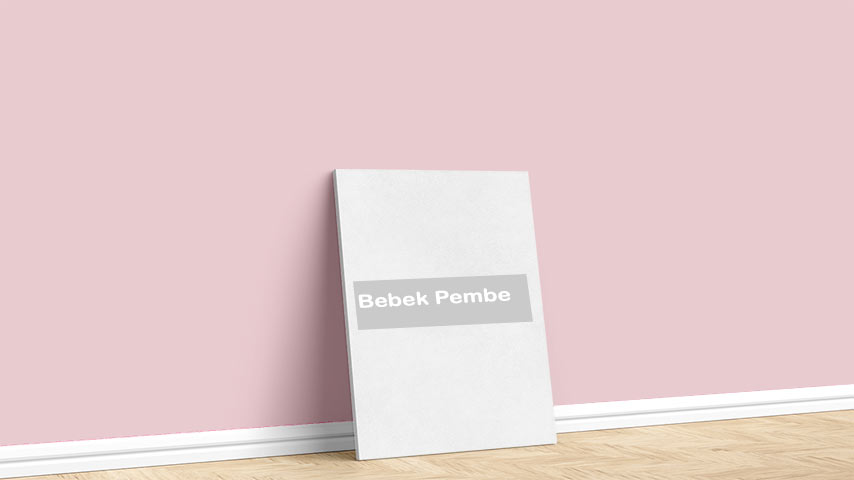 Marshall Bebek Pembe Boya Rengi. Görselde, Kırmızılar renk paleti içinde bulunan Marshall Bebek Pembe isimli kırmızı iç cephe boya rengi ile boyanmış bir duvar var.