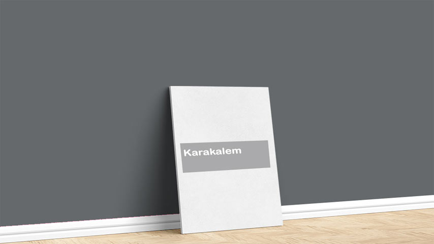 Marshall Karakalem Boya Rengi. Görselde, Natürel Renkler içinde bulunan Marshall Karakalem isimli koyu gri iç cephe boya rengi ile boyanmış bir duvar var.