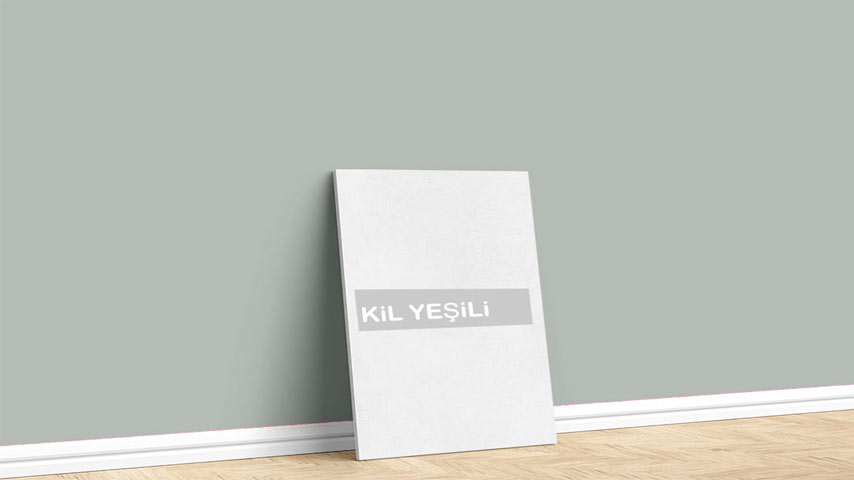 Marshall Kil Yeşili Boya Rengi. Görselde, Soft Natürel Renkler içinde bulunan Marshall Kil Yeşili isimli iç cephe boya rengi ile boyanmış bir duvar var.