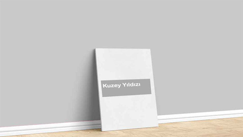 Marshall Kuzey Yıldızı Boya Rengi. Görselde, Natürel Renkler içinde bulunan Marshall Kuzey Yıldızı isimli gri iç cephe boya rengi ile boyanmış bir duvar var.
