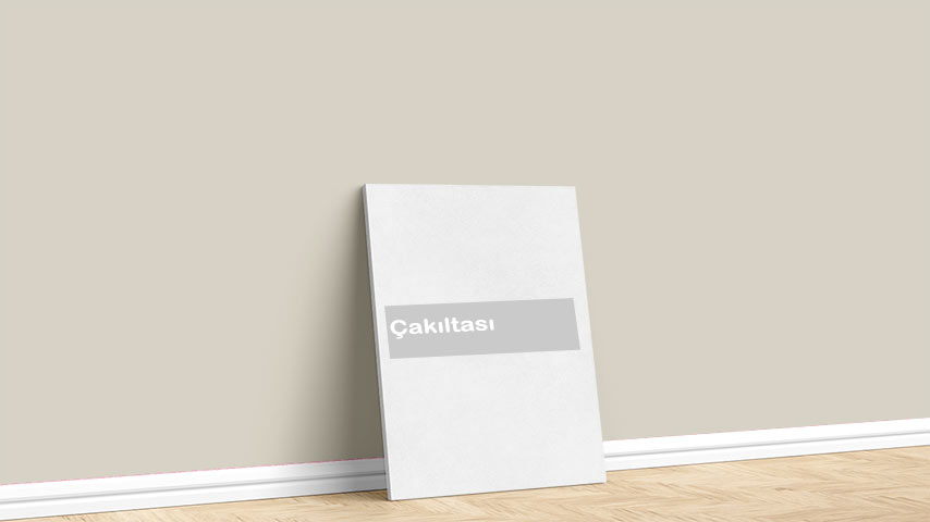 Görselde, Toprak renk paleti içinde bulunan Marshall Çakıltaşı isimli iç cephe boya rengi ile boyanmış bir duvar var.