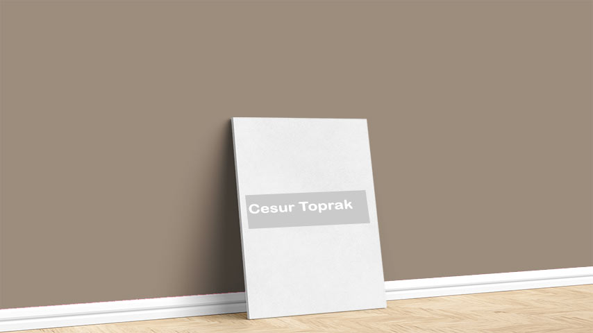 Görselde, Toprak renk paleti içinde bulunan Marshall Cesur Toprak isimli iç cephe boya rengi ile boyanmış bir duvar var.