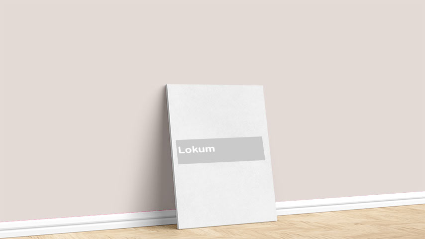 Görselde, Toprak renk paleti içinde bulunan Marshall Lokum isimli iç cephe boya rengi ile boyanmış bir duvar var.